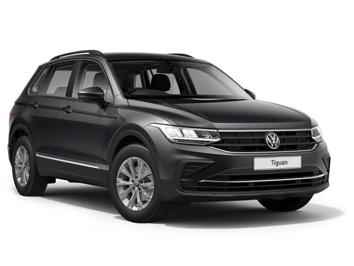 Volkswagen Tiguan Серый 